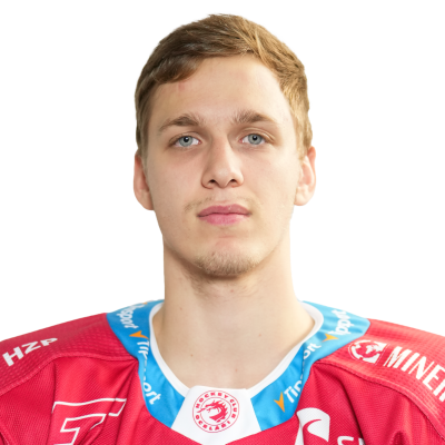 �t�p�n Mach��ek #