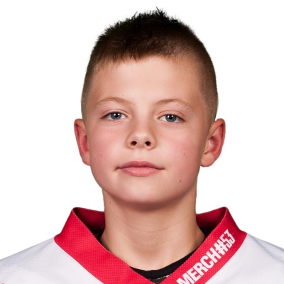 �imon Minar�in #